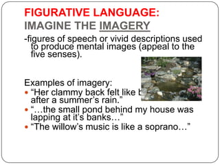 FIGURATIVE LANGUAGE:
IMAGINE THE IMAGERY
-figures of speech or vivid descriptions used
to produce mental images (appeal to the
five senses).
Examples of imagery:
 ―Her clammy back felt like bark of the tree
after a summer’s rain.‖
 ―…the small pond behind my house was
lapping at it’s banks…‖
 ―The willow’s music is like a soprano…‖

 