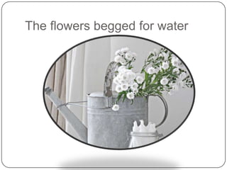 The flowers begged for water

 