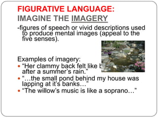 FIGURATIVE LANGUAGE:
IMAGINE THE IMAGERY
-figures of speech or vivid descriptions used
to produce mental images (appeal to...