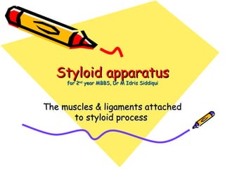 Styloid apparatusStyloid apparatus
for 2for 2ndnd
year MBBS, Dr M Idris Siddiquiyear MBBS, Dr M Idris Siddiqui
The muscles & ligaments attachedThe muscles & ligaments attached
toto styloid processstyloid process
 