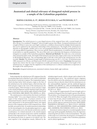 36 J. Morphol. Sci. , 2017, vol. 34, no. 1, p. 36-39
Original article
http://dx.doi.org/10.4322/jms.103916
Anatomical and clinical relevance of elongated styloid process in
a sample of the Colombian population
BAENA-CALDAS, G. P.1
, ROJAS-ZULUAGA, S.2
and PECKHAM, X.3,4
1
Department of Morphology, Health Sciences Division, Universidad del Valle – Univalle, Calle 4B, 36-00,
Building 116, Zip Code 760001, Cali, Colombia
2
School of Medicine and Surgery, Universidad del Valle – Univalle, Calle 4B, 36-00, Zip Code 760001, Cali, Colombia
3
Science Division, Long Island University, Brooklyn, NY, United States
4
Biology Department, University Plaza, Brooklyn, NY, 11201, United States
*E-mail: gloria.baena@correounivalle.edu.co
Abstract
Introduction: The styloid process is a cone-shaped process of the temporal bone with a normal length of
20 to 30 mm. It is considered “elongated” when its length is greater than 30mm. A temporal styloid process with
a length of 25mm or more may cause Eagle’s syndrome, a condition characterized by multiple clinical symptoms
that can be explained by the anatomical relationships of the styloid process. The length of the styloid process
depends on demographic variables such as race and geographical distribution; therefore normal patterns may
vary among different populations. Due to its non-specific clinical manifestations, it would be relevant to know
its prevalence in a specific population. The aim of this study was to determine the frequency of styloid process
elongation in a sample of the Colombian population. Material and Methods: The study was a cross‑sectional,
observational descriptive study. The length of 46 styloid processes from their origin to their vertex was determined
in 46 hemifacial dissections. The corresponding right or left side of the head of the styloid process was also
recorded. Results: The obtained average length of styloid processes was 35.1 ± 13.2 mm. 23 styloid processes
(50%) measured over 30 mm, and 38 processes (82.6%) measured 25 mm or more. Conclusion: Since previous
reports have shown that the onset of symptoms is variable and sometimes independent of the length of the
styloid process, we suggest that the angulation of the styloid process is a clinical consideration as important as
the length of the styloid process.
Keywords: elongated styloid process, anatomical variation, human skull, eagle syndrome.
1 Introduction
Embryologically, the styloid process (SP) originates from the
second pharyngeal arch or Reichert’s arch, which is subdivided
from dorsal to ventral into 4 regions: The tympanohyal region,
which develops before birth and gives origin to the base of
the styloid process; the stylohyal region, which develops after
birth and gives origin to the vertex of the styloid process; the
ceratohyal region, which develops in uterus and gives origin
to the stylohyoid ligament and the hypohyal region that gives
origin to the lesser cornu and the upper division of the hyoid
bone (CHOURDIA, 2002; MOON, LEE, KWON et al., 2014).
The styloid process is derived from the Greek word Stylos
meaning “pillar”. It is a cone-shaped eminence of the petrous
region of the temporal bone. It projects anterior to the
stylomastoid foramen, lateral to the jugular fossa and carotid
canal, and posterior to the petrotympanic fissure and vaginal
process of the tympanic portion of the temporal bone, which
partially surrounds its base. Its medial anatomical relationships
are the internal jugular vein, the glossopharyngeal nerve, vagus
nerve, and accessory nerve, the internal carotid artery and the
carotid plexus. It is related anteriorly to the chorda tympani
and laterally to the external carotid artery and the mandibular
branch of the trigeminal nerve. Three muscles originate from
the styloid process from its superior to its inferior end: The
most superior is the styloglossus muscle, followed by the
stylopharyngeal muscle, which is deeper and is related to the
glossopharyngeal nerve. The stylohyoid muscle originates
near the inferior end of the styloid process. Other anatomical
structures that are directly related with the styloid process are
the stylomandibular ligament and the stylohyoid ligament
(MOON, LEE, KWON et al., 2014; SUDHAKARA-REDDY,
SAI-KIRAN, SAI-MADHAVI et al., 2013; ELIMAIRI, BAUR,
ALTAY et al., 2015).
The average SP is approximately 25 mm in length and it is
considered elongated when the length is greater than 30 mm.
The prevalence of an elongated process in the general population
is 4 to 52.1%. When the length of the styloid process is equal
or more than 25 mm, clinical manifestations may occur and
can be explained by the relationship between the styloid
process and the adjacent anatomical structures (BOUZAIDI,
DAGHFOUS, FOURATI et al., 2013; CULLU, DEVEER,
SAHAN et al., 2013; KHANDELWAL, HADA and HARSH,
2011; MAYRINK, FIGUEIREDO, SATO et al., 2012).
Anatomical variations depend on sociodemographic factors
such as age and the geographic distribution, hence the importance
of knowing their prevalence in the local population. The goal
of this study was to determine the frequency of elongation of
the styloid process in a sample of the Colombian population
and its clinical significance.
 