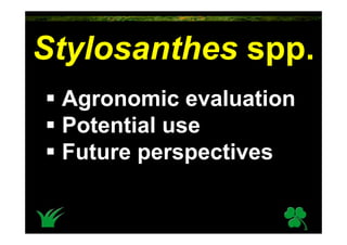 Stylosanthes spp.
 Agronomic evaluation
 Potential use
 Future perspectives
 