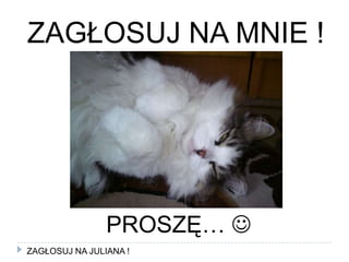 ZAGŁOSUJ NA MNIE !PROSZĘ… ZAGŁOSUJ NA JULIANA !
