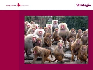 Strategie
 