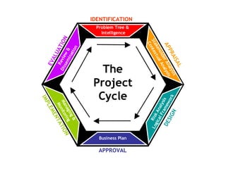 Developing Social Enterprise | PPTX