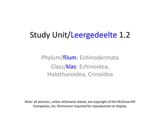 Study Unit/Leergedeelte 1.2
Phylum/filum: Echinodermata
Class/klas: Echinoidea,
Holothuroidea, Crinoidea
Note: all pictures, unless otherwise stated, are copyright of the McGraw-Hill
Companies, Inc. Permission required for reproduction or display.
 