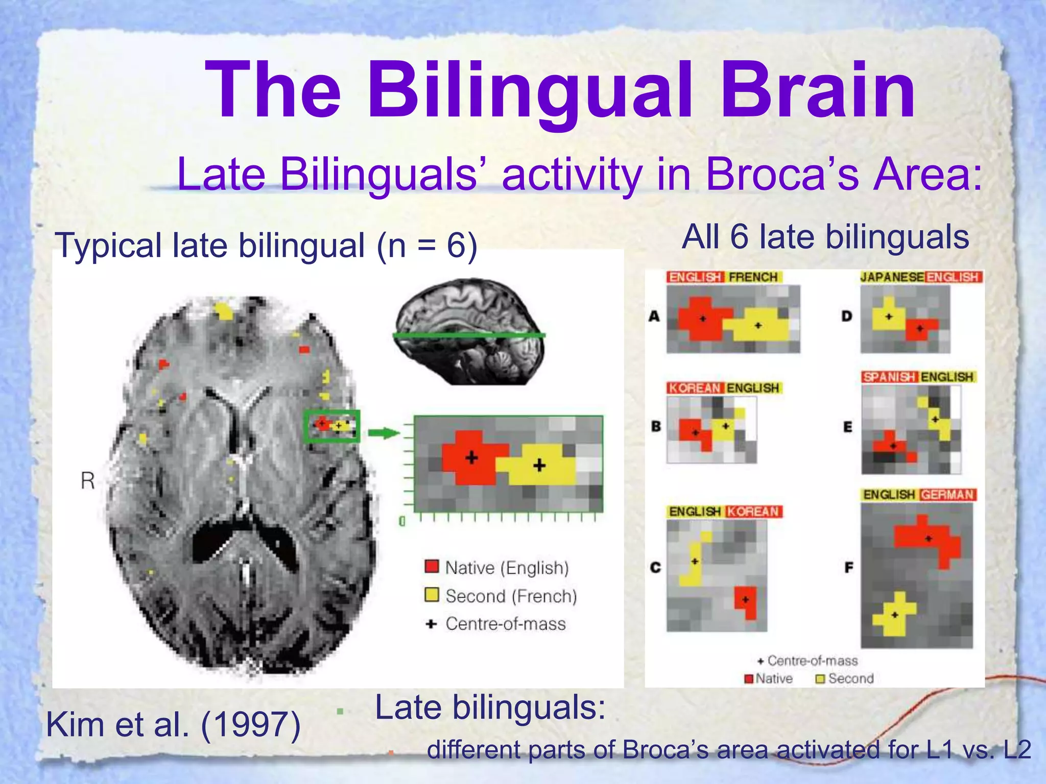 The Bilingual Brain
        Late Bilinguals’ activity in Broca’s Area:
Typical late bilingual (n = 6)                     All 6 late bilinguals




                       Late bilinguals:
Kim et al. (1997)
                           different parts of Broca’s area activated for L1 vs. L2
 