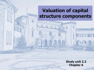 Valuation of capital
structure components
Study unit 2.2
Chapter 6
 