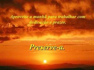 Aproveite a manhã para trabalhar com dedicação e prazer. Preserve-a. 