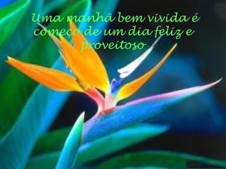 Uma manhã bem vivida é começo de um dia feliz e proveitoso 