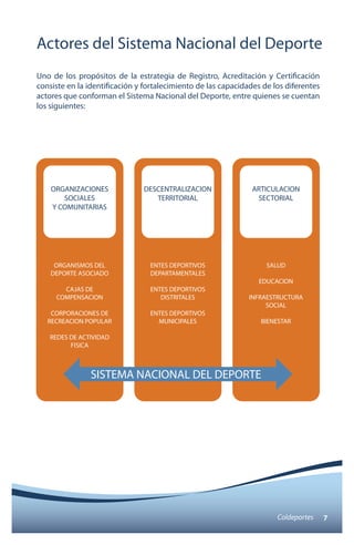 Actores del Sistema Nacional del Deporte 
Uno de los propósitos de la estrategia de Registro, Acreditación y Certificación 
consiste en la identificación y fortalecimiento de las capacidades de los diferentes 
actores que conforman el Sistema Nacional del Deporte, entre quienes se cuentan 
los siguientes: 
Coldeportes 7 
ORGANIZACIONES 
SOCIALES 
Y COMUNITARIAS 
DESCENTRALIZACION 
TERRITORIAL 
ENTES DEPORTIVOS 
DEPARTAMENTALES 
ENTES DEPORTIVOS 
DISTRITALES 
ENTES DEPORTIVOS 
MUNICIPALES 
ARTICULACION 
SECTORIAL 
SALUD 
EDUCACION 
INFRAESTRUCTURA 
SOCIAL 
BIENESTAR 
ORGANISMOS DEL 
DEPORTE ASOCIADO 
CAJAS DE 
COMPENSACION 
CORPORACIONES DE 
RECREACION POPULAR 
REDES DE ACTIVIDAD 
SISTEMA NACIONAL DEL DEPORTE 
FISICA 
 