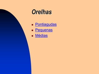 Orelhas
   Pontiagudas
   Pequenas
   Médias
 