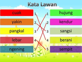 cuak
yakin
pangkal
lebar
ngening
hujung
kendur
sangsi
berani
sempit
1
2
3
4
5
1
2
3
4
5
 