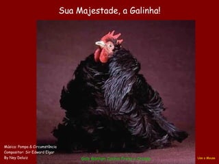 Galo Bantam  Cochin  Preto e Crespo Sua Majestade, a Galinha! Música: Pompa & Circumstância Compositor: Sir Edward Elgar By Ney Deluiz Use o Mouse 