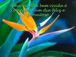 Uma manhã bem vivida é
começo de um dia feliz e
proveitoso
 
