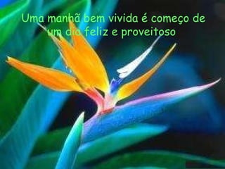 Uma manhã bem vivida é começo de um dia feliz e proveitoso 