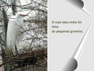 O mais belo ninho foi
feito
de pequenos gravetos.
 
