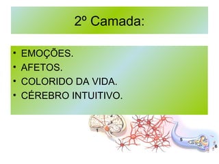 2º Camada: EMOÇÕES. AFETOS. COLORIDO DA VIDA. CÉREBRO INTUITIVO. 