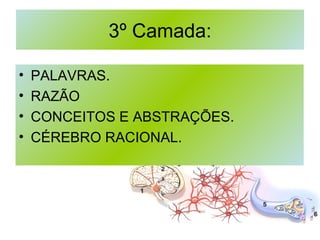 3º Camada: PALAVRAS. RAZÃO CONCEITOS E ABSTRAÇÕES. CÉREBRO RACIONAL. 