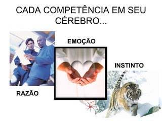 CADA COMPETÊNCIA EM SEU CÉREBRO... RAZÃO EMOÇÃO INSTINTO 