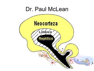 Dr. Paul McLean 