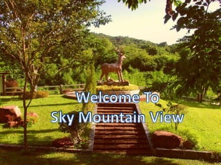Welcome To  Sky Mountain View 