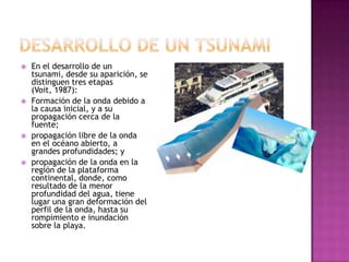    En el desarrollo de un
    tsunami, desde su aparición, se
    distinguen tres etapas
    (Voit, 1987):
   Formación de la onda debido a
    la causa inicial, y a su
    propagación cerca de la
    fuente;
   propagación libre de la onda
    en el océano abierto, a
    grandes profundidades; y
   propagación de la onda en la
    región de la plataforma
    continental, donde, como
    resultado de la menor
    profundidad del agua, tiene
    lugar una gran deformación del
    perfil de la onda, hasta su
    rompimiento e inundación
    sobre la playa.
 