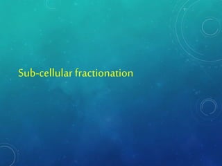 Sub-cellular fractionation
 