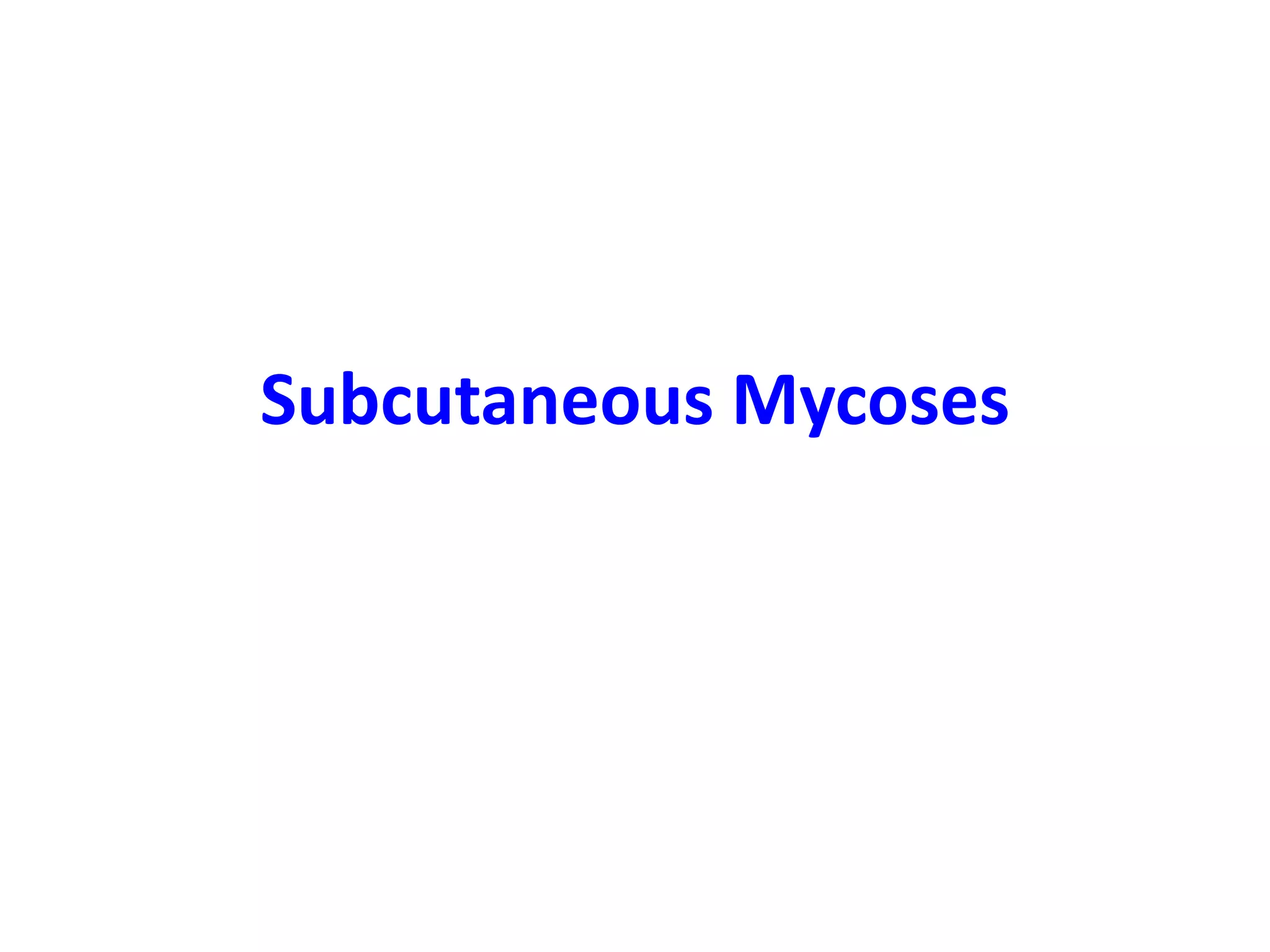Sub cutaneous fungal infections for mbbs students | PPTX