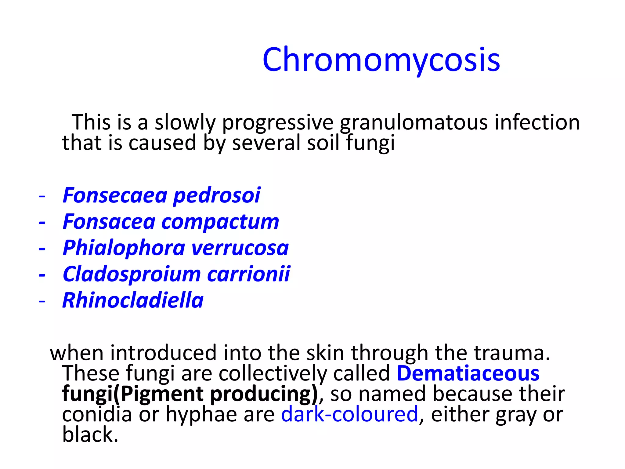 Sub cutaneous fungal infections for mbbs students | PPTX