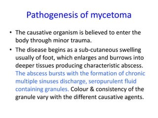 Sub cutaneous fungal infections for mbbs students | PPTX