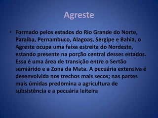 Imagem da vegetação do AgrestePaisagem típica do agreste, próximo à Feira de Santana.