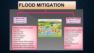 Disaster Management PPT | PPTX