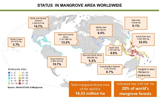 Policy and Implementation of Mangrove Strategic Management Plan Slide 3