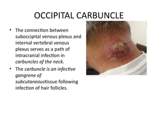 SUB-OCCIPITAL REGION with applied ppt .pptx