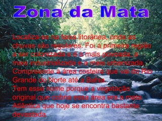 Localiza-se na faixa litorânea, onde as chuvas são regulares. Foi a primeira região a ser colonizada e é a mais povoada, a mais industrializada e a mais urbanizada. Compreende a área costeira que vai do Rio Grande do Norte até a Bahia. Tem esse nome porque a vegetação original que cobria essa área era a mata Atlântica que hoje se encontra bastante devastada   Zona da Mata 