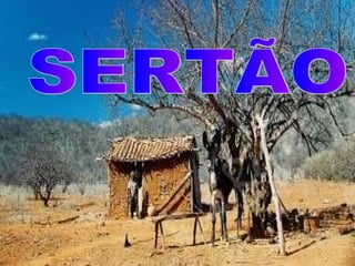 SERTÃO 
