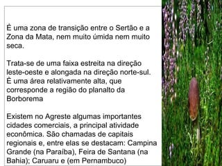 É uma zona de transição entre o Sertão e a Zona da Mata, nem muito úmida nem muito seca. Trata-se de uma faixa estreita na direção leste-oeste e alongada na direção norte-sul. È uma área relativamente alta, que corresponde a região do planalto da Borborema Existem no Agreste algumas importantes cidades comerciais, a principal atividade econômica. São chamadas de capitais regionais e, entre elas se destacam: Campina Grande (na Paraíba), Feira de Santana (na Bahia); Caruaru e (em Pernambuco) 
