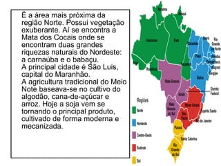 É a área mais próxima da região Norte. Possui vegetação exuberante. Aí se encontra a Mata dos Cocais onde se encontram duas grandes riquezas naturais do Nordeste: a carnaúba e o babaçu. A principal cidade é São Luis, capital do Maranhão. A agricultura tradicional do Meio Note baseava-se no cultivo do algodão, cana-de-açúcar e arroz. Hoje a soja vem se tornando o principal produto, cultivado de forma moderna e mecanizada. 