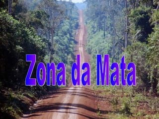 Zona da Mata 