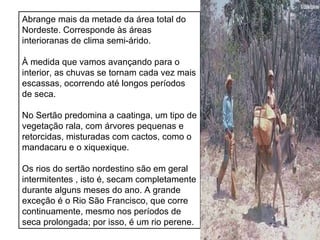 Abrange mais da metade da área total do Nordeste. Corresponde às áreas interioranas de clima semi-árido. À medida que vamos avançando para o interior, as chuvas se tornam cada vez mais escassas, ocorrendo até longos períodos de seca. No Sertão predomina a caatinga, um tipo de vegetação rala, com árvores pequenas e retorcidas, misturadas com cactos, como o mandacaru e o xiquexique. Os rios do sertão nordestino são em geral intermitentes , isto é, secam completamente durante alguns meses do ano. A grande exceção é o Rio São Francisco, que corre continuamente, mesmo nos períodos de seca prolongada; por isso, é um rio perene. 