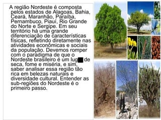 A região Nordeste é composta pelos estados de Alagoas, Bahia, Ceará, Maranhão, Paraíba, Pernambuco, Piauí, Rio Grande do Norte e Sergipe. Em seu território há uma grande diferenciação de características físicas, refletindo diretamente nas atividades econômicas e sociais da população. Devemos romper com o paradigma de que o Nordeste brasileiro é um lugar de seca, fome e miséria, e sim, saber analisar essa região tão rica em belezas naturais e diversidade cultural. Entender as sub-regiões do Nordeste é o primeiro passo. 