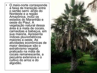 O meio-norte corresponde à faixa de transição entre o sertão semi -árido do Nordeste e a região Amazônica, inclui os estados do Maranhão e oeste do Piauí. A vegetação natural dessa área é a mata de cocais, carnaúbas e babaçus, em sua maioria. Apresenta índices pluviométricos maiores a oeste. As atividades econômicas de maior destaque são o extrativismo vegetal, praticado na mata de cocais remanescente, a pecuária extensiva e o cultivo do arroz e do algodão. 