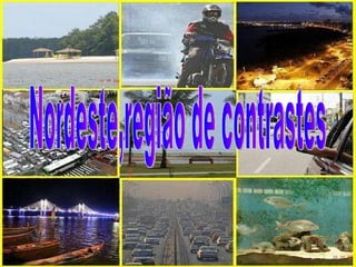 Nordeste,região de contrastes 