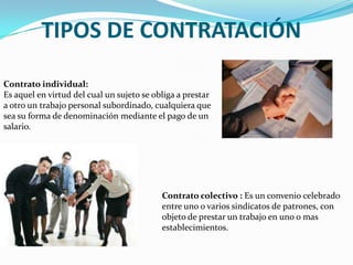 Organización, en detalle, de las grandes áreas de actividad.