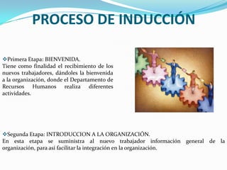 Funciones de las categorías o grupos laborales que integran dichas áreas.
