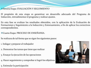 Responsabilidades que corresponde a cada nivel estructural por áreas de actividad.