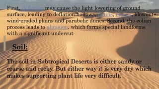First, deflation may cause the light lowering of ground
surface, leading to deflation hollows, plains, basins, blowouts,
wind-eroded plains and parabolic dunes. Second, the eolian
process leads to abrasion, which forms special landforms
with a significant undercut.
Soil:
The soil in Subtropical Deserts is either sandy or
coarse and rocky. But either way it is very dry which
makes supporting plant life very difficult.
 