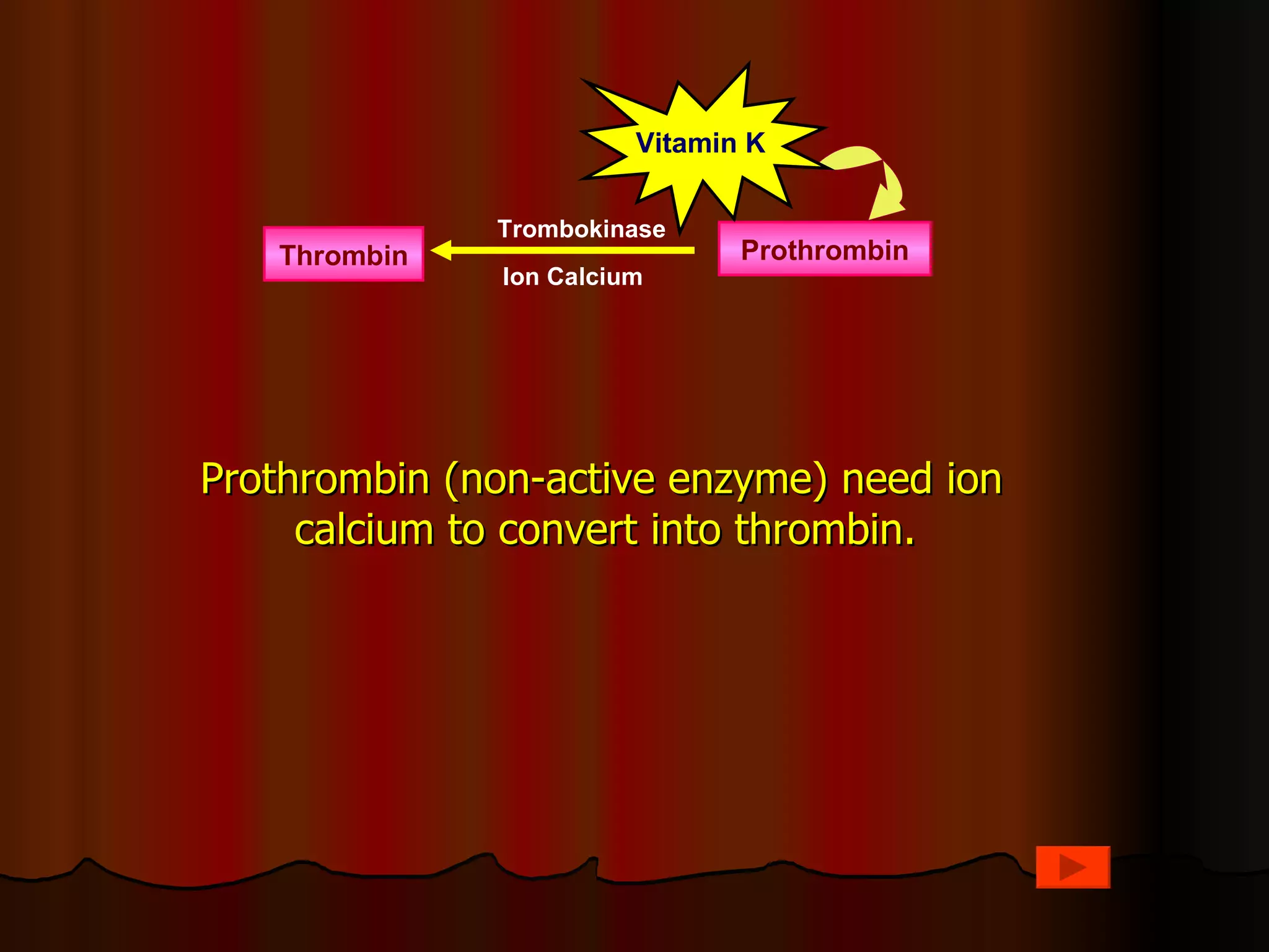 Vitamin K


              Trombokinase
   Thrombin                     Prothrombin
               Ion Calcium




Prothrombin (non-active enzyme) need ion
     calcium to convert into thrombin.
 