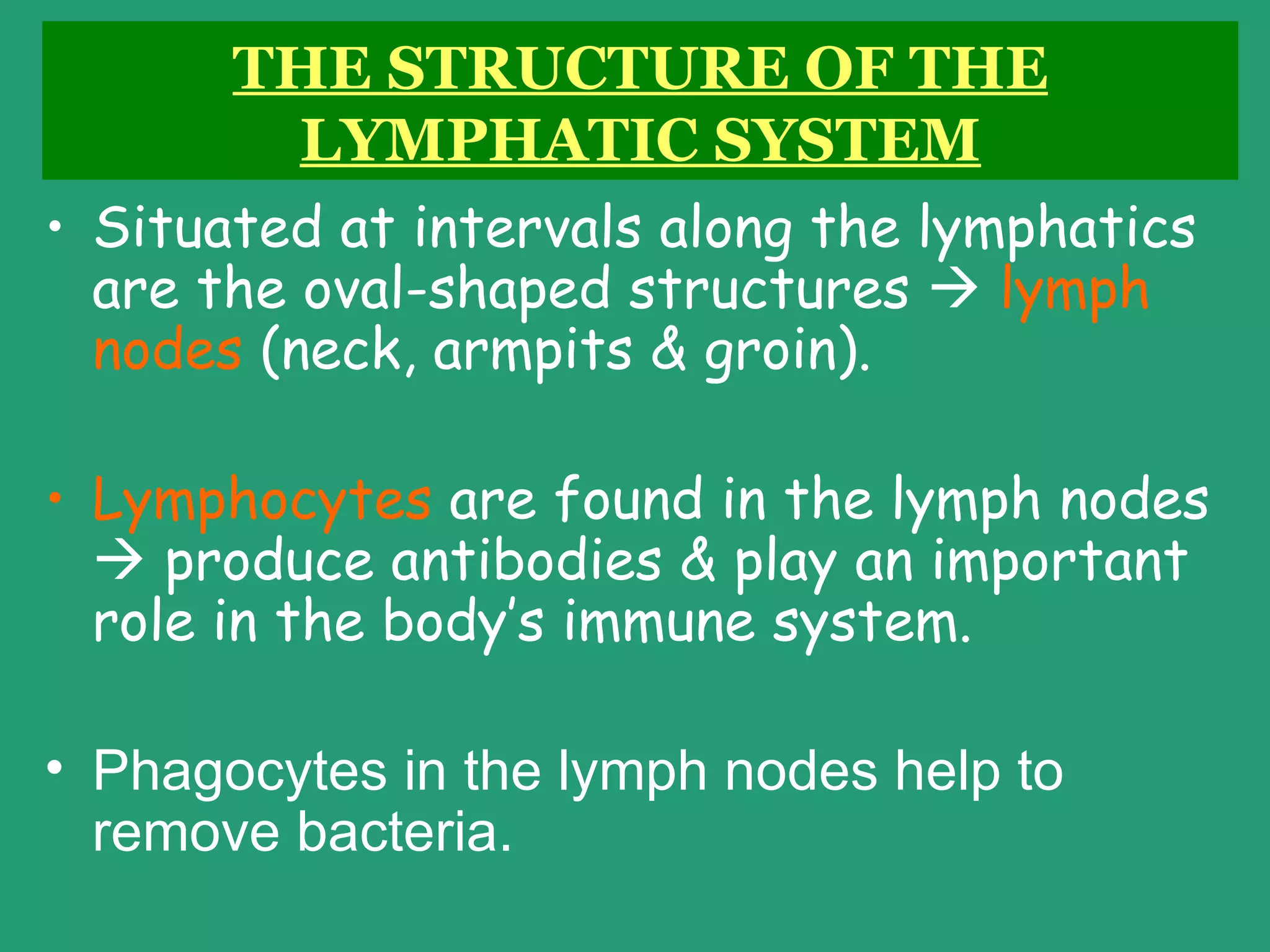 THE STRUCTURE OF THE
        LYMPHATIC SYSTEM
• Situated at intervals along the lymphatics
  are the oval-shaped structures  lymph
  nodes (neck, armpits & groin).

• Lymphocytes are found in the lymph nodes
   produce antibodies & play an important
  role in the body’s immune system.

• Phagocytes in the lymph nodes help to
  remove bacteria.
 